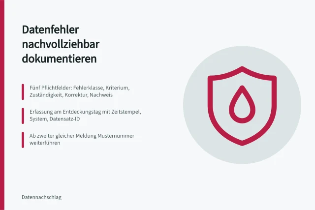 Karte zur Dokumentation wiederkehrender Datenfehler mit fünf Pflichtfeldern und Musternummer. Wie dokumentiere ich wiederkehrende Datenfehler nachvollziehbar?