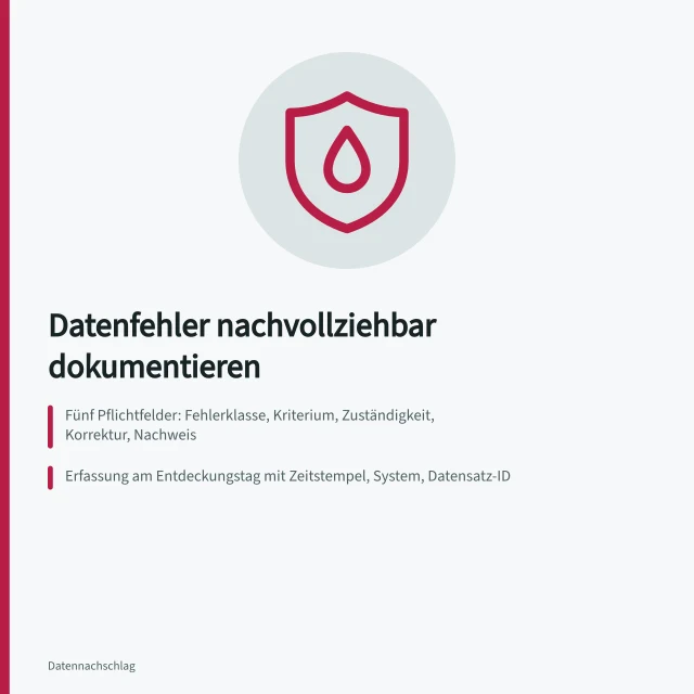 Karte zur Dokumentation wiederkehrender Datenfehler mit fünf Pflichtfeldern und Musternummer. Wie dokumentiere ich wiederkehrende Datenfehler nachvollziehbar?